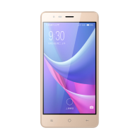 Red pepper GM-T9+